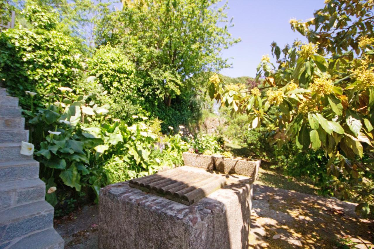 Monolocale Fattorialmare Viola Apartment Camogli Luaran gambar